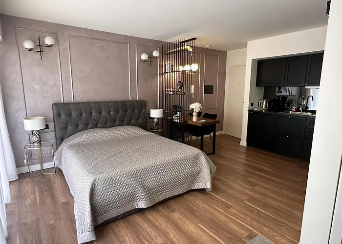 Modern Studio In The Hearth Of Cannes Just A Few Steps From The Croisette Beach Front And Shops - 2242